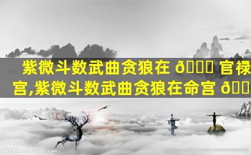 紫微斗数武曲贪狼在 🐕 官禄宫,紫微斗数武曲贪狼在命宫 🐒
